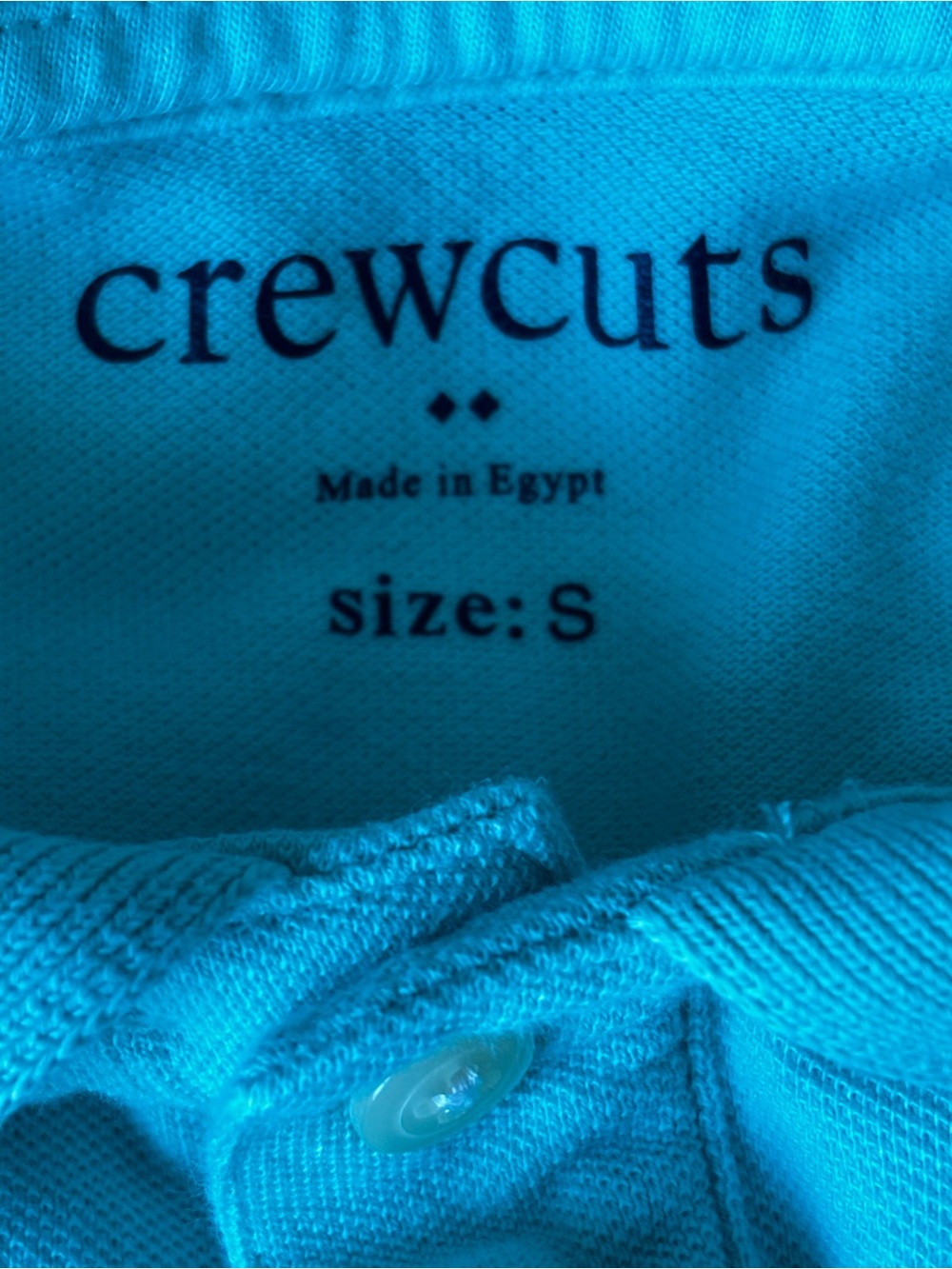 Crewcuts by J.Crew Boys’ Piqué Fish Polo Shirt Mint Green Size S - Picture 3 of 4